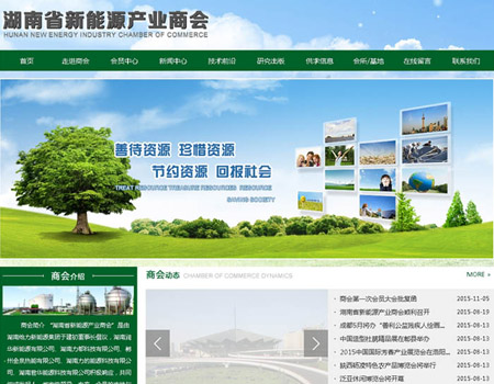 网站建设-湖南省新能源产业商会案例展示