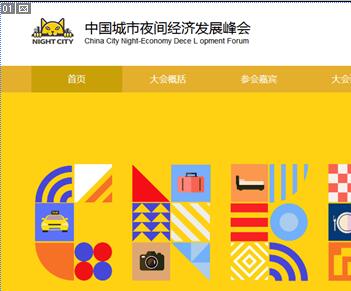 网站建设-2020中国城市夜间经济发展峰会案例展示