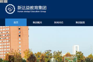 网站建设-湖南新达益教育集团案例展示